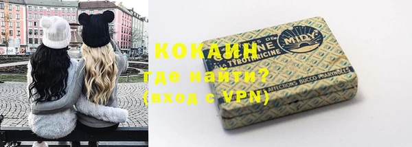 гашик Бородино