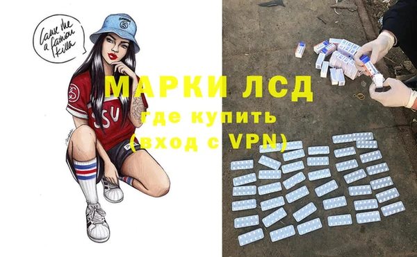 гашик Бородино
