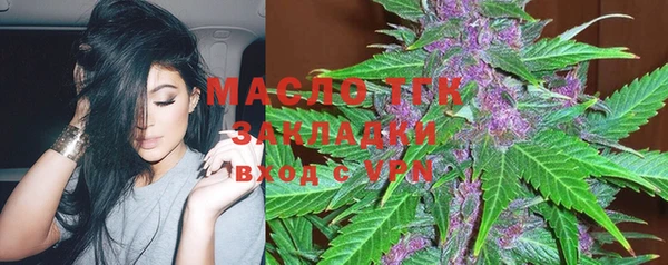 гашик Бородино