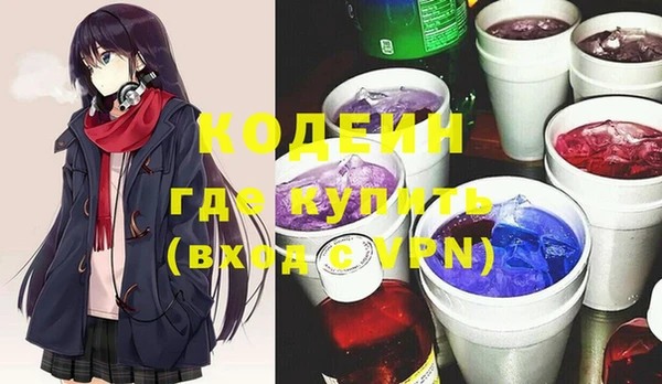 гашик Бородино