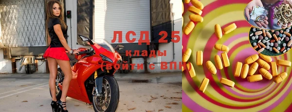 гашик Бородино
