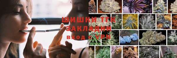 гашик Бородино